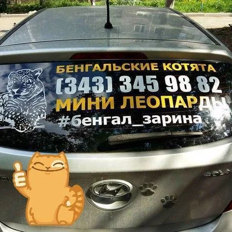 Наклейка на заднее стекло двухцветная